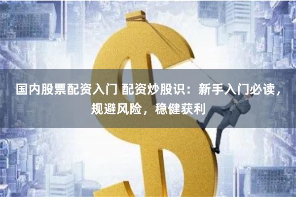 国内股票配资入门 配资炒股识：新手入门必读，规避风险，稳健获利